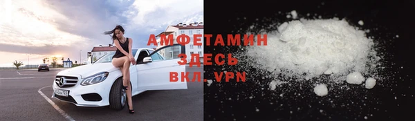 индика Волосово