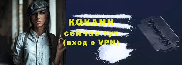 индика Волосово