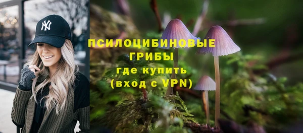индика Волосово