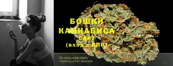 mdpv Волоколамск
